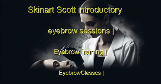 Skinart Scott introductory eyebrow sessions | EyebrowTraining | EyebrowClasses | SkinartTraining-Canada